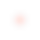 lens2d bloom